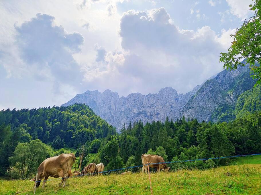 Happy Guest Apartments - Alpin Vista Colere Exterior foto